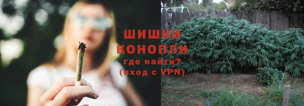 СК Горно-Алтайск