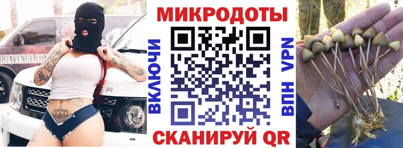 Псилоцибиновые грибы мицелий Ермолино